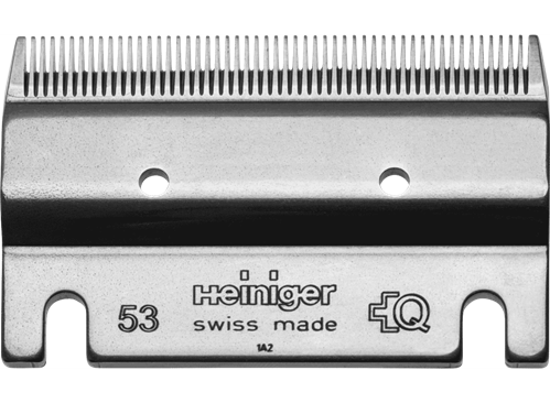 53__PadWzkyOCw2ODAsIkZGRkZGRiIsMF0