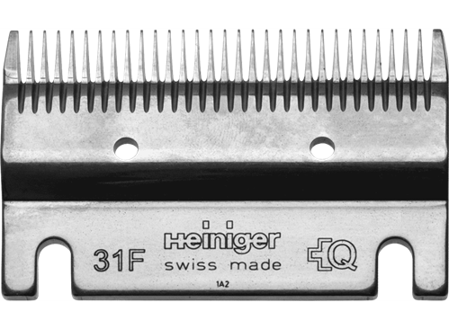 31F__PadWzkyOCw2ODAsIkZGRkZGRiIsMF0