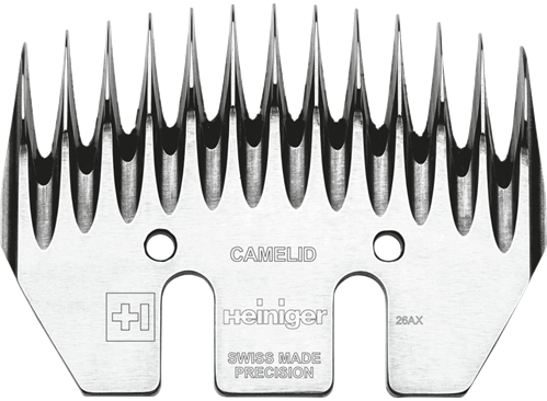 Camelid__PadWzkyOCw2ODAsIkZGRkZGRiIsMF0